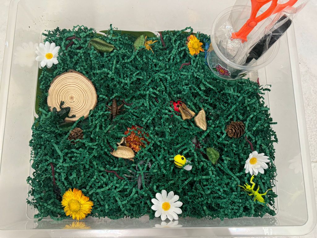 Garden Theme Sensory Bin