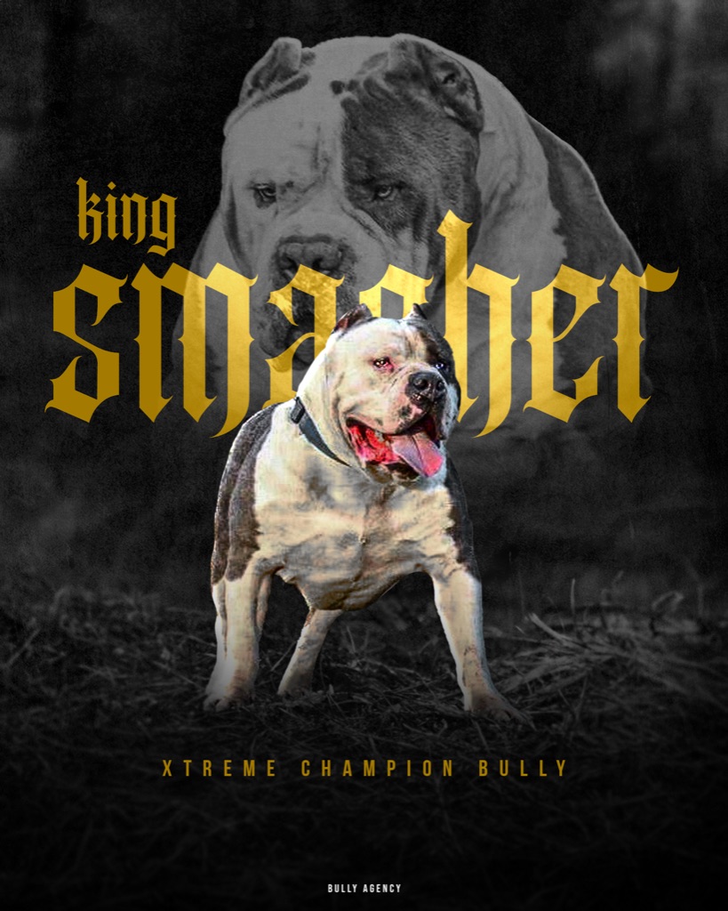 King Smasher