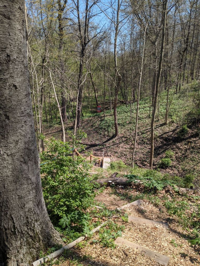 VFW 7119 Disc Golf Course Woods
