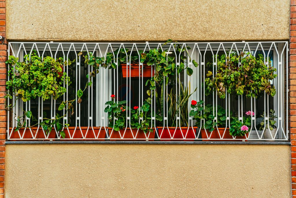 Window Garden Setup