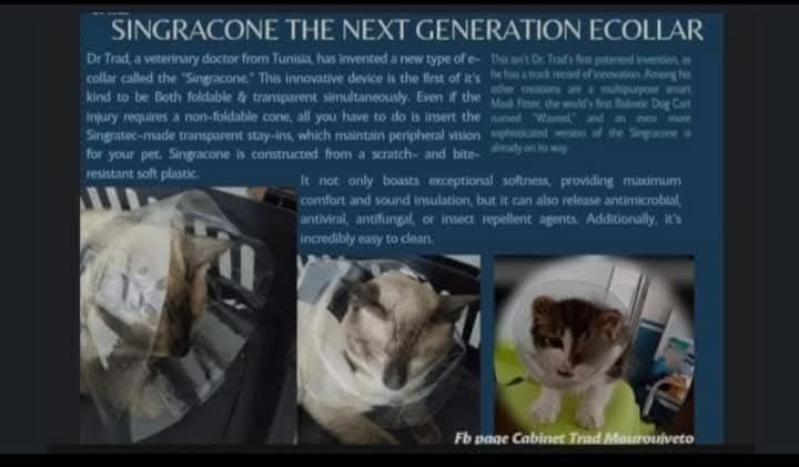 Singracone the next generation e collar