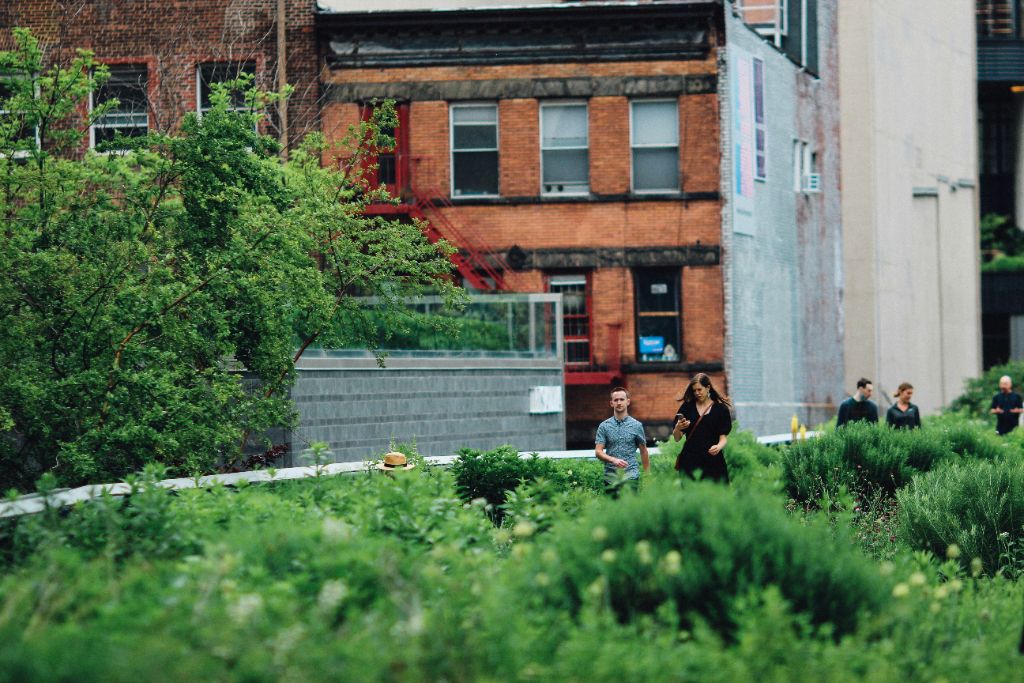 Urban Community Garden