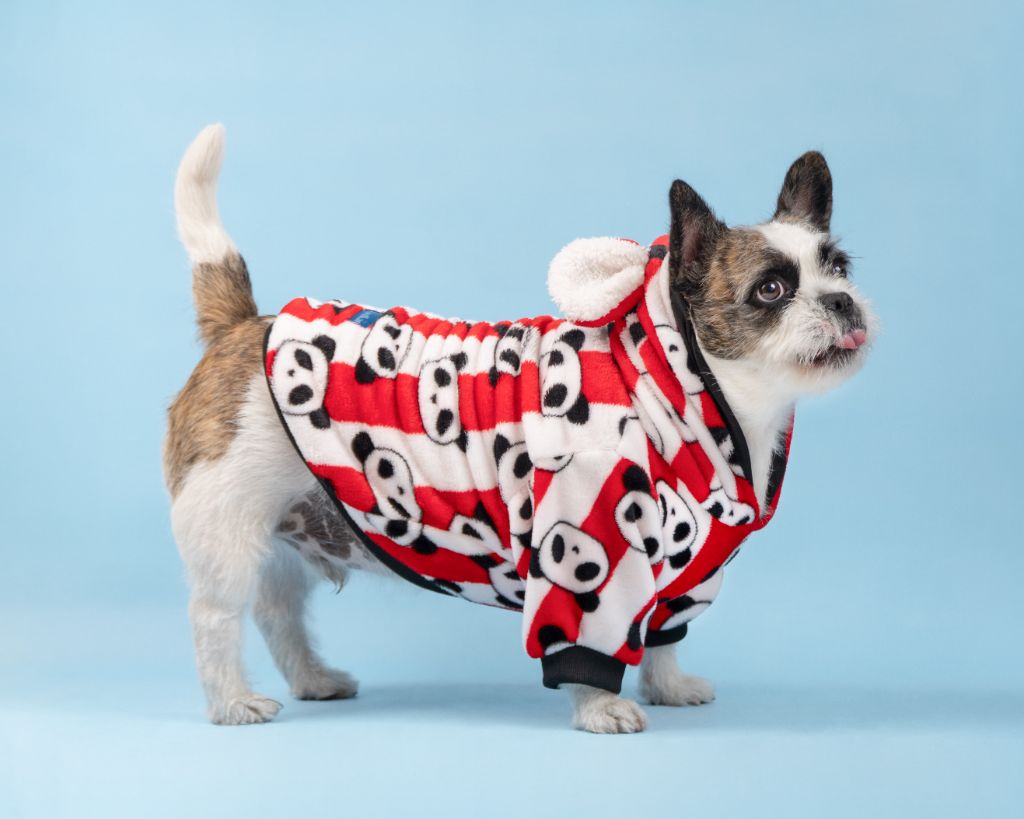 Perro con pijama dálmatas