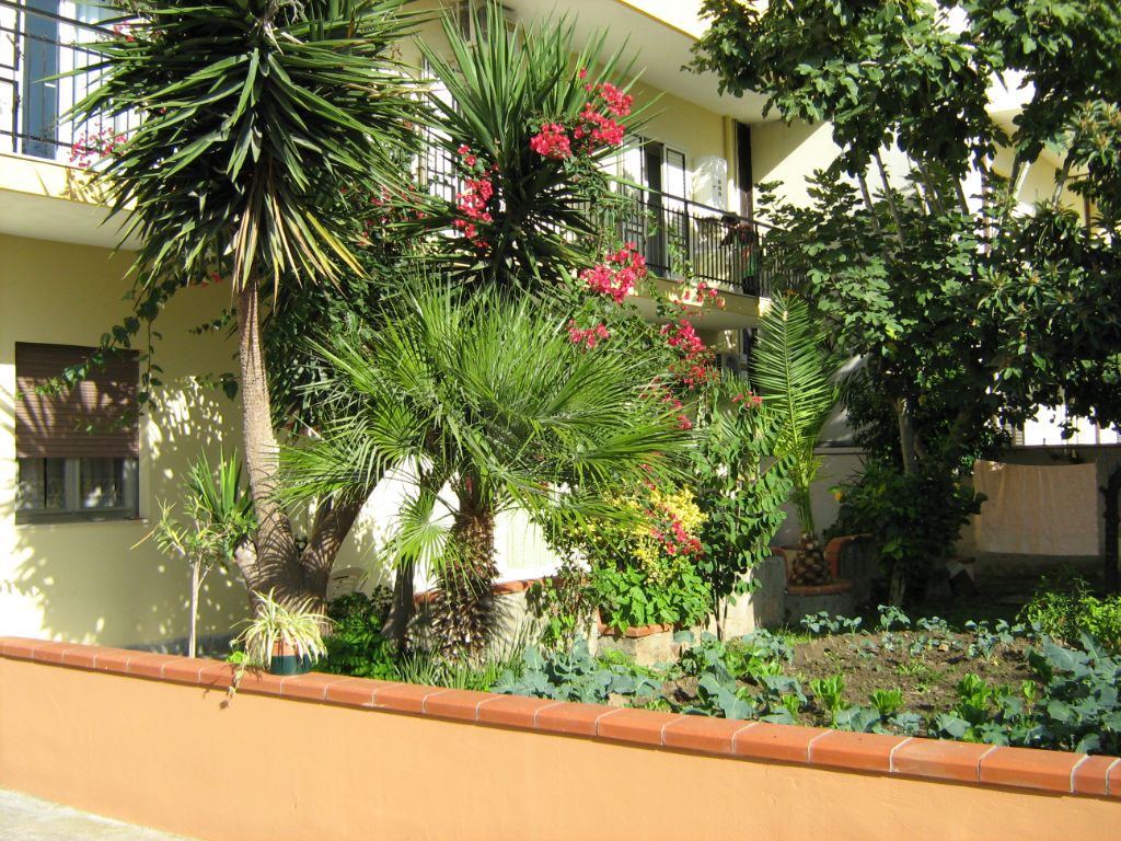 Cortile Fiorito B&B Al Cedir 3