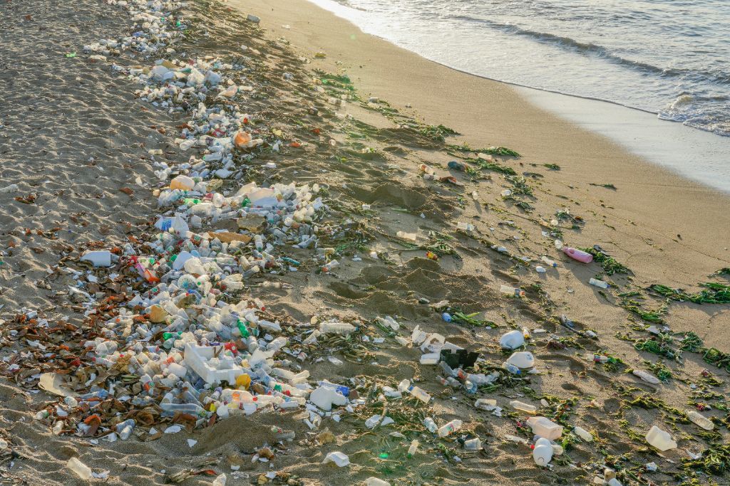 Plastic pollution on a beach showing environmental damage