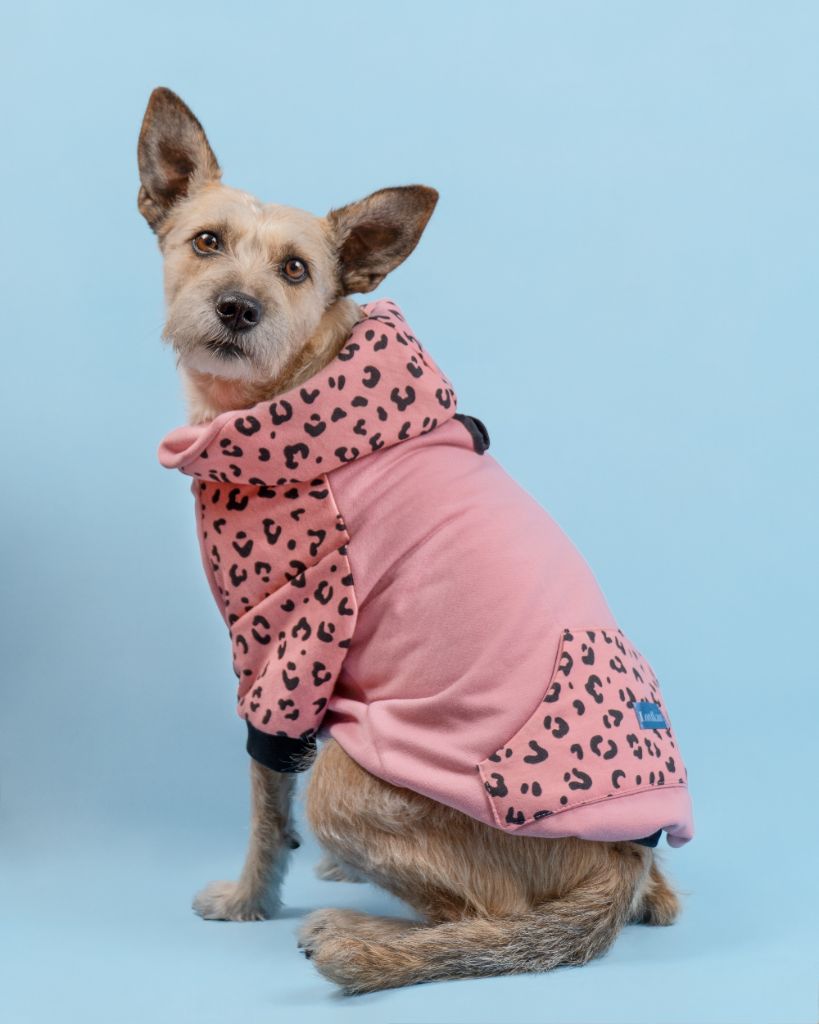 Mascota fashion
