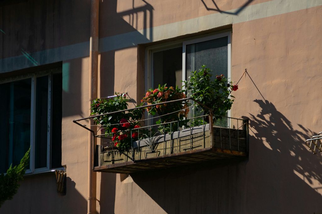 Urban Balcony Garden