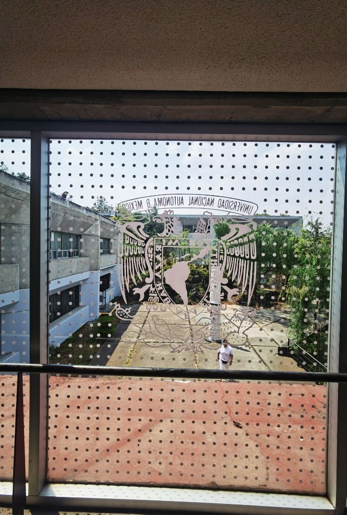 Ventana con película DOTFLY instalada