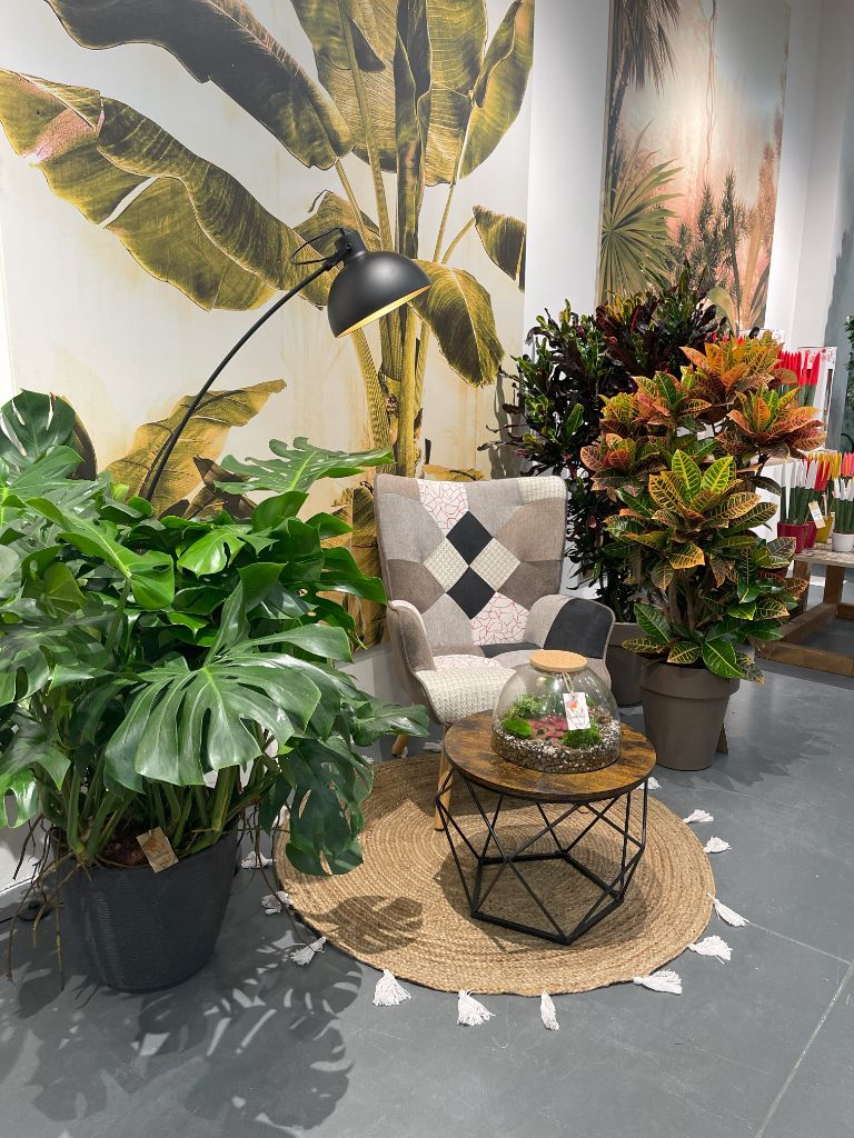 Arredo verde interno con piante decorative