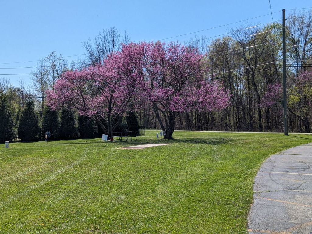 VFW 7119 Disc Golf Course