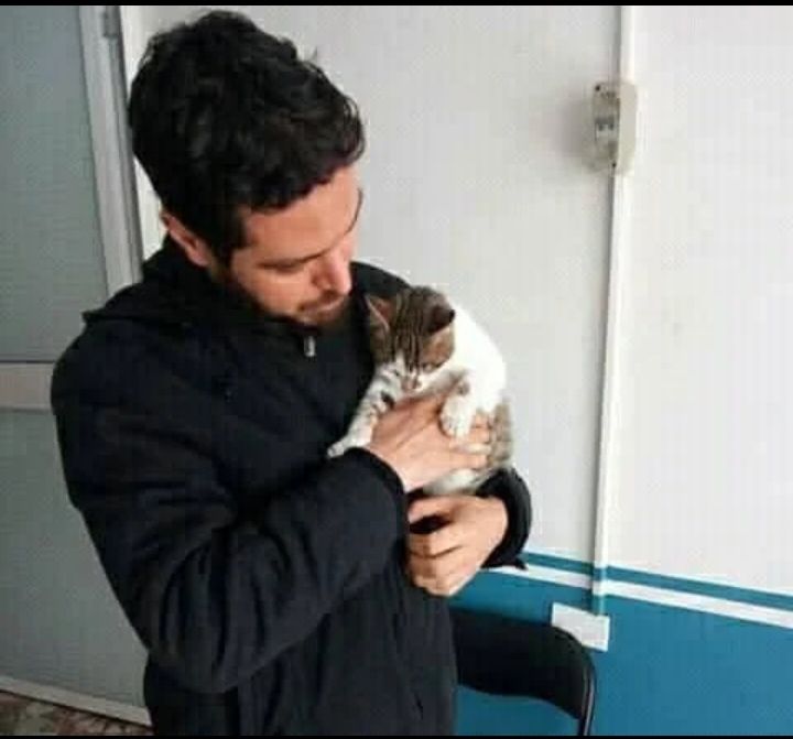 Dr Trad avec un chat