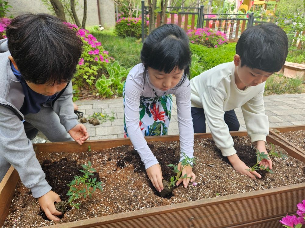 다솔어린이집 텃밭 활동 사진